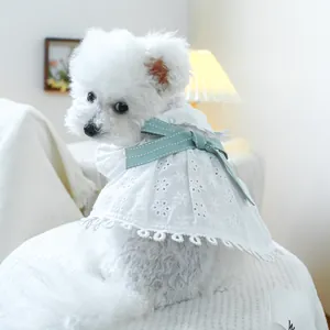 Close-up of white lace pet cape with blue ribbon on a small white dog in home setting