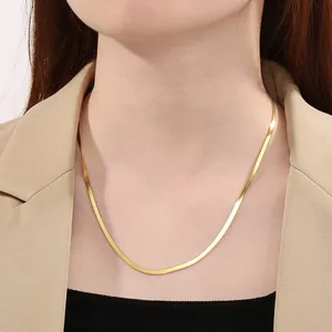 Elegant gold-plated stainless steel flat blade chain necklace for women on model neck