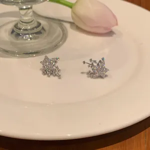 Elegant star-shaped silver stud earrings with sparkling cubic zirconia on a white plate