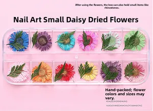 High-definition macro detail of 12-color dried daisy flowers for professional nail art
