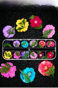 Dried flower nail art set with 12 colors in a clear storage box compartment