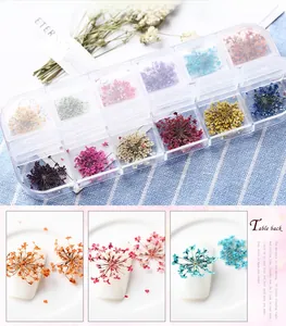 12-color 3D nail art dried flowers set in transparent storage box detail