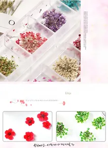 Close-up view of various colorful dried flowers for nail art decoration in a clear grid box.
