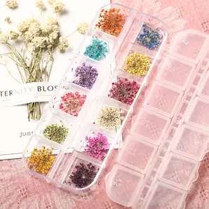 Macro detail of various 12-color natural dried flowers for professional nail art