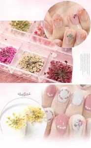 Close-up of 12-color dried flowers for nail art with elegant floral nail designs