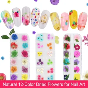 Natural Dried Flowers For Nail Art Decoration Mixed Snow Pearl Hydrangea Narcissus DIY Resin Crafts Accessories For Women