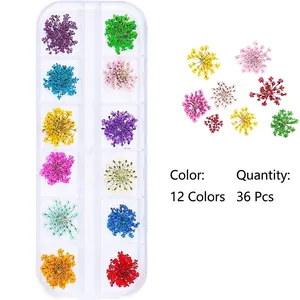 Professional 12-color 3D dried flowers for nail art in 12-grid transparent box 36pcs set