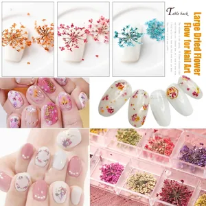 12-color 3D real dried flowers set for professional nail art decoration and DIY crafts