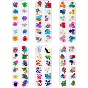 Professional set of 6 boxes with 12 colors 3D nail art dried flowers in clear cases