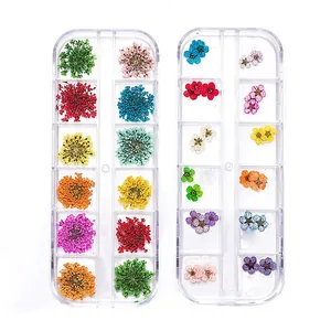 Set of 12 colors 3D dried flowers for nail art decoration in transparent storage cases
