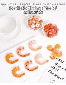 Detailed collection of realistic PVC artificial shrimp models on white ceramic plates