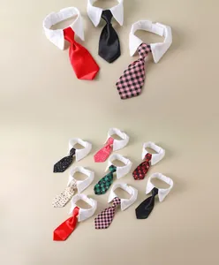 Detail of pet tuxedo collar with adjustable velcro and D-ring for leash attachment