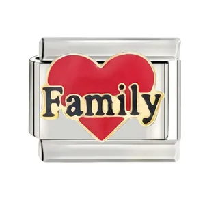 Detail of stainless steel Italian charm link featuring a red heart and Family text.