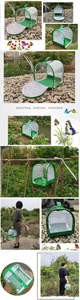 Portable foldable transparent insect cage for butterfly observation in outdoor nature