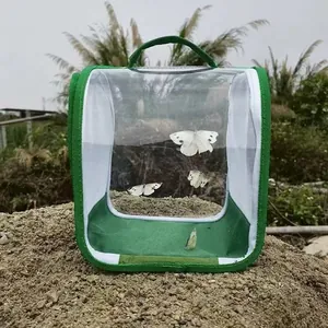 Portable green foldable insect observation cage with 360 degree transparent view window