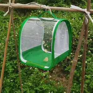 Portable foldable green insect observation cage for butterflies with transparent view.