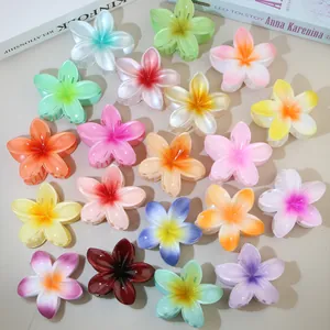 Ein Set bunter Frangipani-Blüten-Haarklammern mit lebendigem Farbverlauf-Design.