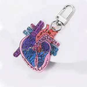 Heart Anatomy Keychain Acrylic Medical Student Gift Science Education Organ Pendant Medical Jewelry