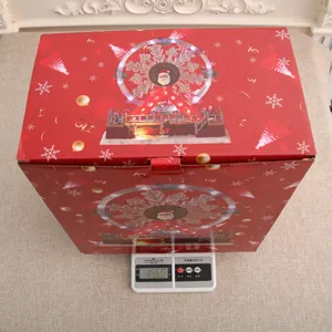 Detail view showing the 1460g weight measurement of the Christmas Ferris wheel box