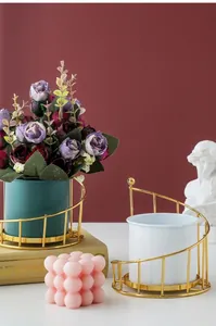 Minimalist Nordic style gold iron wire plant stand set with elegant ceramic flower pots