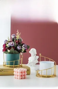 Minimalist Nordic style gold iron wire plant stand set with elegant ceramic flower pots