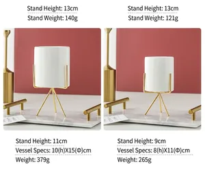 Size comparison for Nordic ceramic succulent pots with elegant gold iron stands