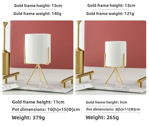 Size comparison for Nordic ceramic succulent pots with elegant gold iron stands