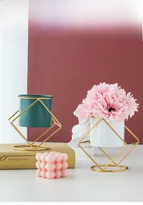Close-up of modern geometric gold iron stand with green and white plant pots