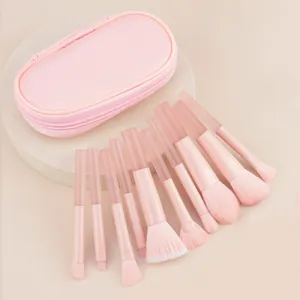 10pcs pink makeup brush set with translucent handles and matching mini storage case