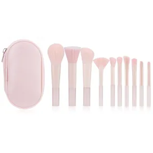 Professional 10-piece pink makeup brush set with transparent handles and travel bag