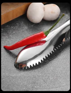 Macro view of 304 stainless steel fish scaler showing sharp serrated edge and mirror finish