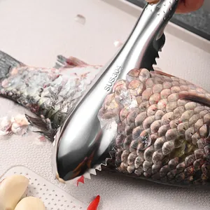 Professional 304 stainless steel fish scaler tool removing scales from a fresh fish