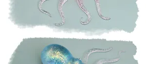 Macro detail of colorful glitter octopus squeeze toy featuring soft slow rebound TPR texture