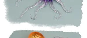 Detailed view of colorful TPR octopus squishy toys in purple and orange glitter