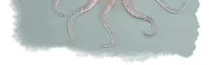 Close-up detail of transparent TPR octopus squishy toy tentacles with suction cups.