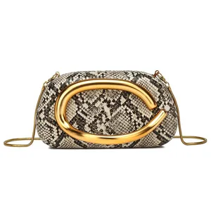Women Snake Pattern Acrylic Box Bag Fashion Luxury Chain Crossbody Handbag With Large Gold C Ring Handle Evening Party Clutch