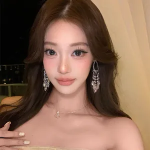 French Chic Silver Zirconia Water Drop Tassel Earrings For Women Luxurious Long Drop Earrings For Wedding Party Jewelry