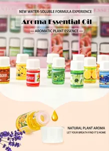 Detailed view of 12-pack 3ml water-soluble aromatic essential oils for indoor home fragrance