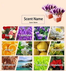 Visual guide for 12 available water-soluble essential oil scents including Rose and Lavender
