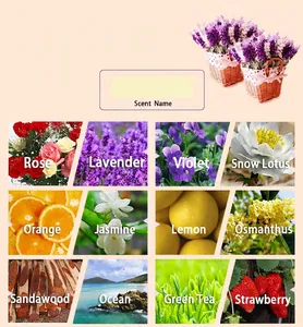 Visual guide for 12 available water-soluble essential oil scents including Rose and Lavender