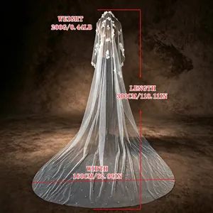 Elegant 3-meter long trailing bridal wedding veil with floral appliques and pearl beads
