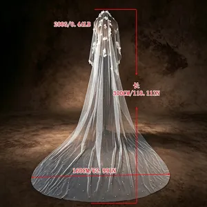 Elegant 3-meter long trailing bridal wedding veil with floral appliques and pearl beads