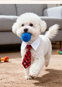 Close-up of a white puppy wearing a festive red checkered pet tie with a white collar