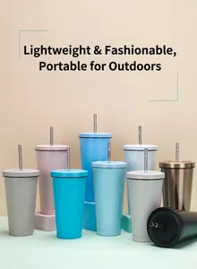 Group display of 750ml insulated stainless steel tumblers with straws in various colors