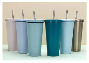 Set of six multi-colored 750ml double-wall stainless steel vacuum tumblers with straws