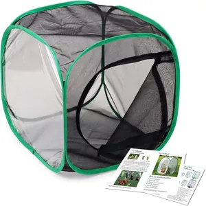 Detail view of green mesh butterfly habitat with clear observation side and instruction cards.