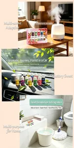 Set of 12 water-soluble essential oils 3ml each for humidifiers car and home scenes