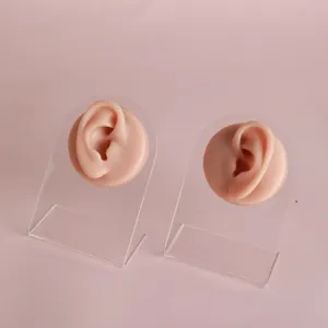 Silicone ear models for piercing practice shown on transparent acrylic display stands