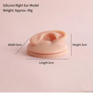 Detailed dimensions of the silicone right ear model for professional piercing practice.