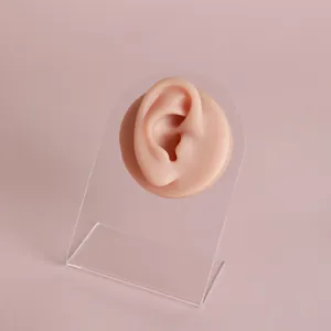 Detailed view of a silicone ear model on a clear stand for piercing practice and photography